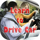 Learn to Drive Car icône