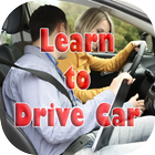 Learn to Drive Car 아이콘