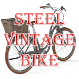 Steel Vintage Bike أيقونة