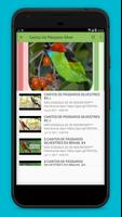 New Cantos De Pássaros Silvestres capture d'écran 3