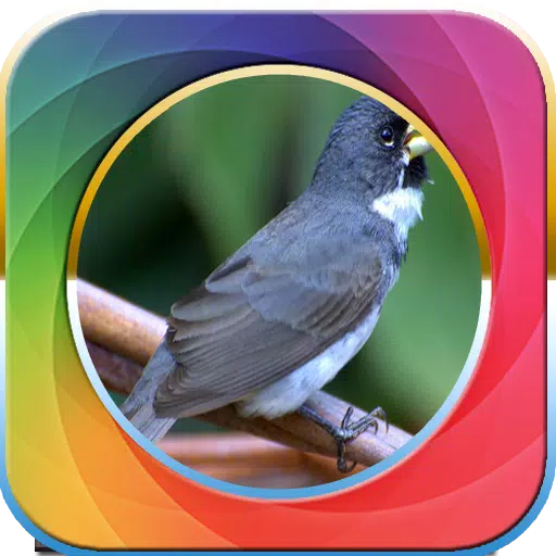 Canto Fêmea de Papa Capim APK 19.0 for Android – Download Canto