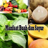 برنامه‌نما Khasiat Manfaat Buah & Sayur عکس از صفحه