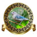 Sanhaco Frade Canto Galopado APK