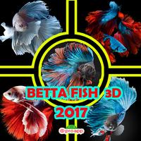 Betta Fish 3D 2017 โปสเตอร์