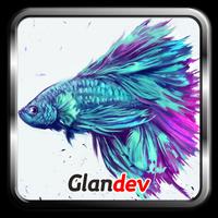 Betta Fish 3D Free Affiche