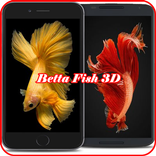 Betta Fish 3D