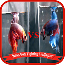 Betta Fish Fighting Game Wallpaper APK