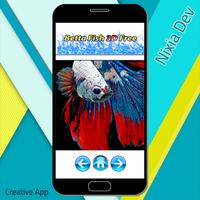 Betta Fish 3D Free syot layar 2