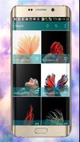 Betta Fish Wallpapers captura de pantalla 1