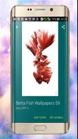 Betta Fish Wallpapers ภาพหน้าจอ 2