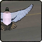 Pigeon attack - bird bomber Zeichen