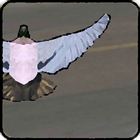 Pigeon attack - bird bomber icon