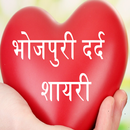 Bhojpuri 2018 Shayari APK