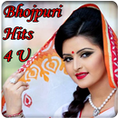 Bhojpuri Hits4U APK
