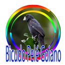 Cantos de Bicudo Pelé Goiano Regional APK