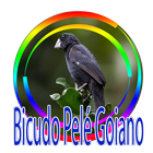 Cantos de Bicudo Pelé Goiano Regional আইকন