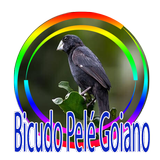 Cantos de Bicudo Pelé Goiano Regional ikon