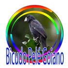 Cantos de Bicudo Pelé Goiano Regional biểu tượng
