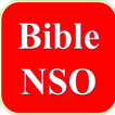 IGBO BIBLE(BIBLE NSO)