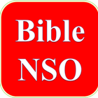 IGBO BIBLE(BIBLE NSO) icône