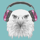 Eagle MP3 Player APK