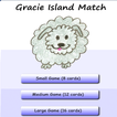 Gracie Island Match