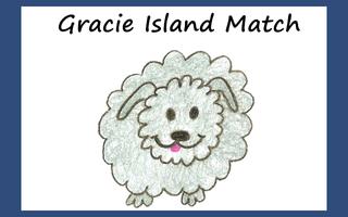 Gracie Island Match gönderen