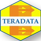 Learn Teradata Full icône