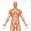 Anatomy AR Book APK