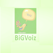 BigVoize