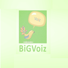 BigVoize icon