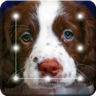 Dog Cute Spaniel Puppy Smart Screen Lock simgesi