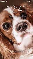 Dog Cute Spaniel Puppy Smart Screen Lock poster