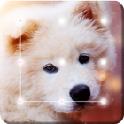 Puppy Cute Little Dog Nice Screen Lcok आइकन