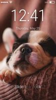 Puppy Cute Little Dog Nice Screen Lcok पोस्टर
