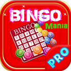 Xmas Bingo Game Mania ikon