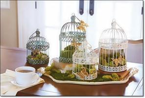 Bird Cage Decoration Ideas الملصق