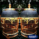 Bird Cage Design Ideas aplikacja