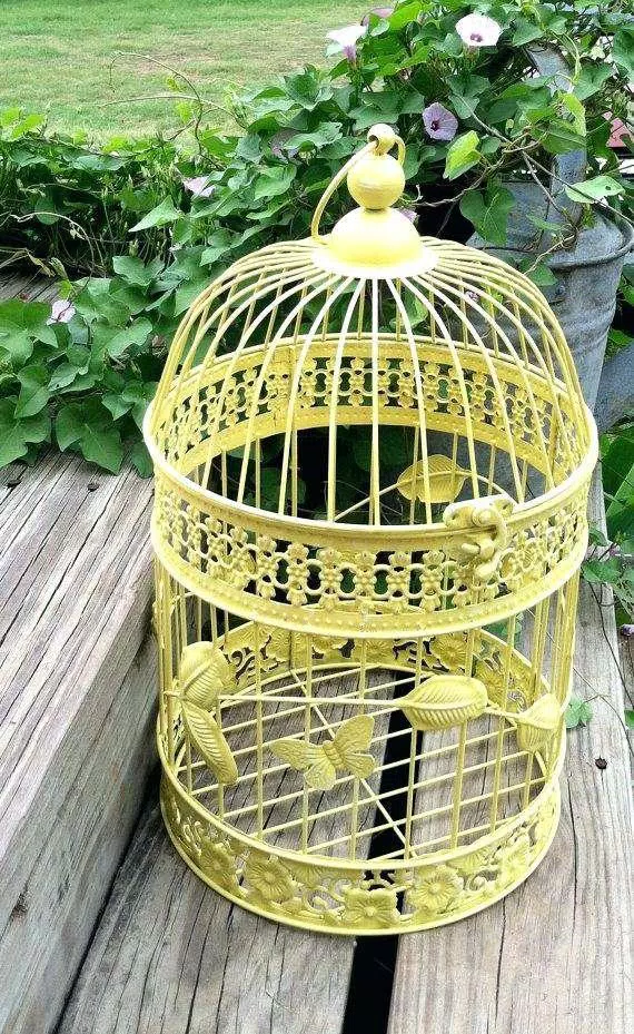 Bird Cage Design Ideas