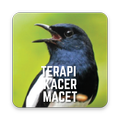 Bird Sound Therapy