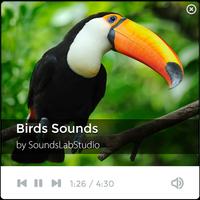 Birds Sounds ภาพหน้าจอ 2