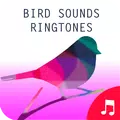 バードサウンド着メロ