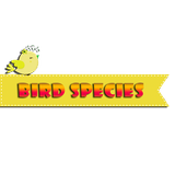 Especies de aves APK