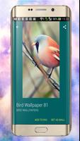Bird wallpaper screenshot 2