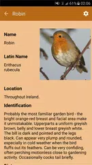 Bird Watching APK download