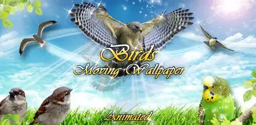 Pájaros Fondos de Pantalla con Sonido 🐦