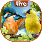 Birds Live Wallpaper আইকন