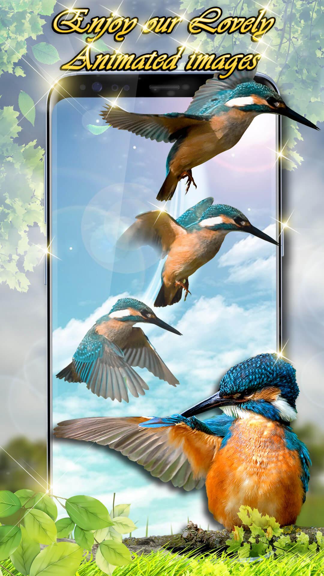 Wallpaper Suara Burung Hidup Gambar Animasi For Android Apk