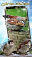 पक्षी वॉलपेपर लाइव - एनिमेशन चित्र स्क्रीनशॉट 1