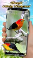 Birds Live Wallpaper স্ক্রিনশট 2